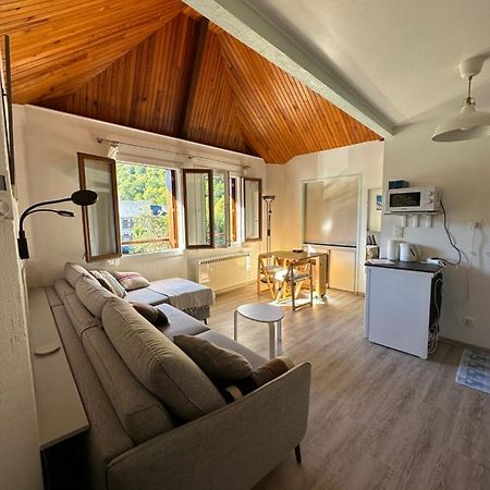 Appartement Borderes-Louron 1 A 3 Personnes 3 Etoiles, Proche Loudenvielle Zewnętrze zdjęcie
